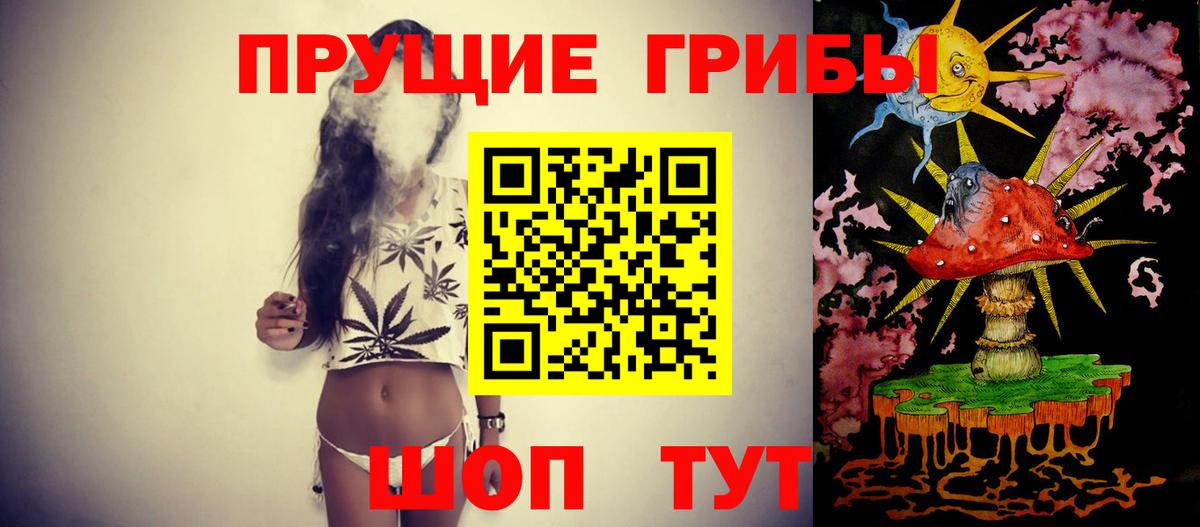 Псилоцибиновые грибы мухоморы Геленджик